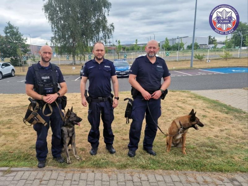 Jelcz-Laskowice: Policja w towarzystwie psów w jednym z zakładów na terenie strefy